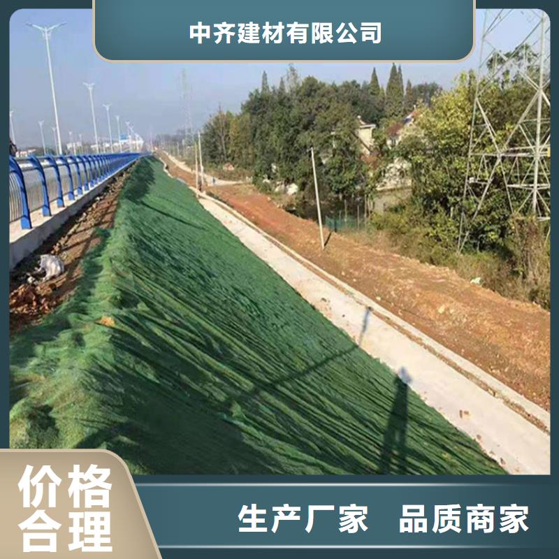 三维植被网-双向塑料土工格栅拒绝差价