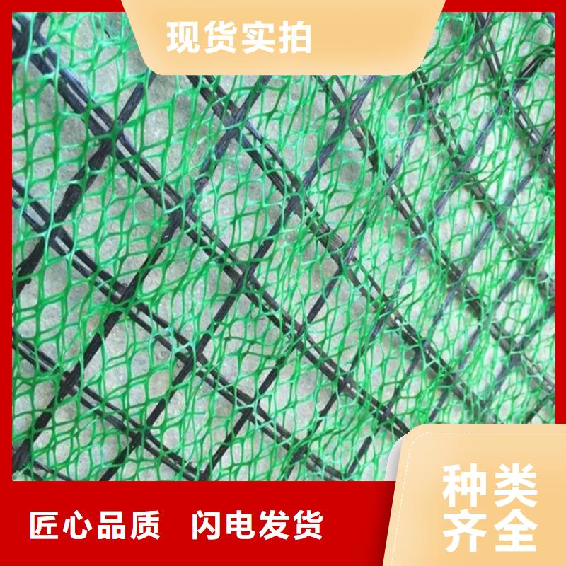 三維植被網(wǎng)_礦用格柵廠家經(jīng)驗豐富