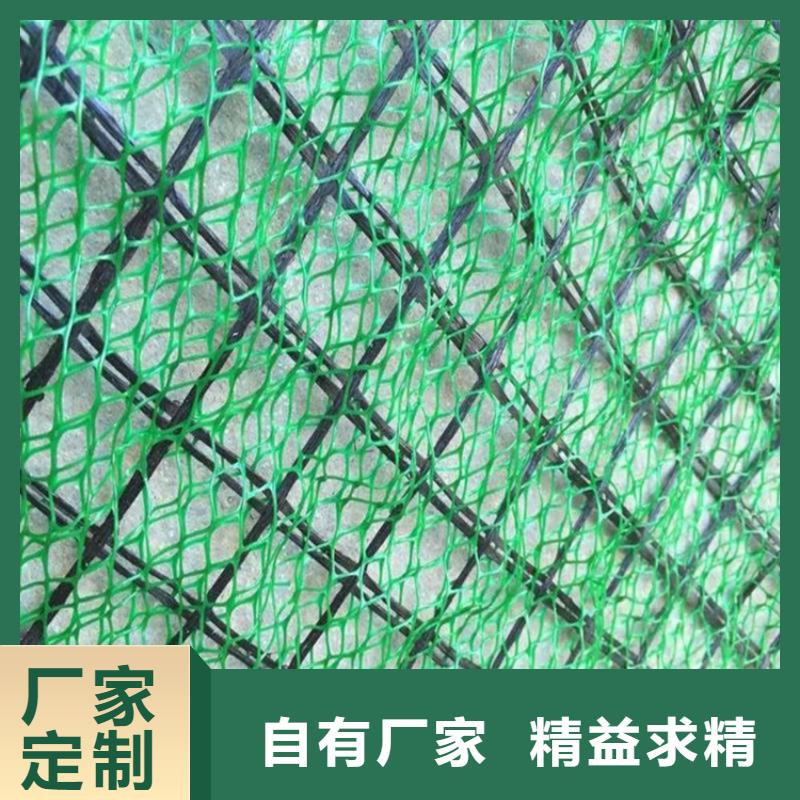 【 三维植被网_塑料玻纤格栅用心做好每一件产品】-中齐建材(大庆市分公司)-勺子互联