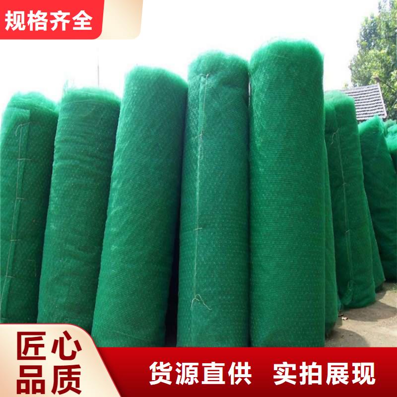 三維植被網(wǎng)_防裂貼售后無(wú)憂