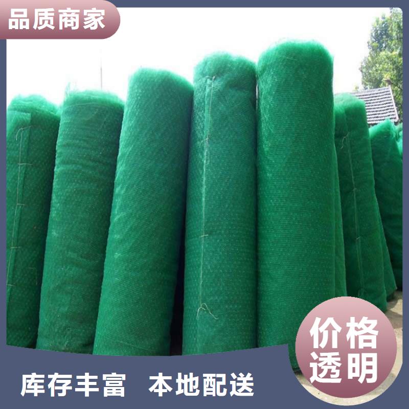 綠化草皮三維土工網墊