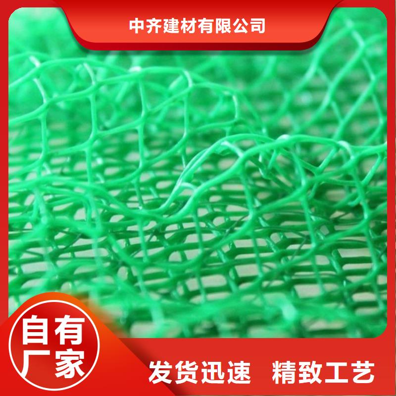 東方市草皮固土三維固土網(wǎng)墊