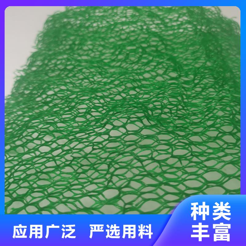 EM3護坡三維土工網墊
