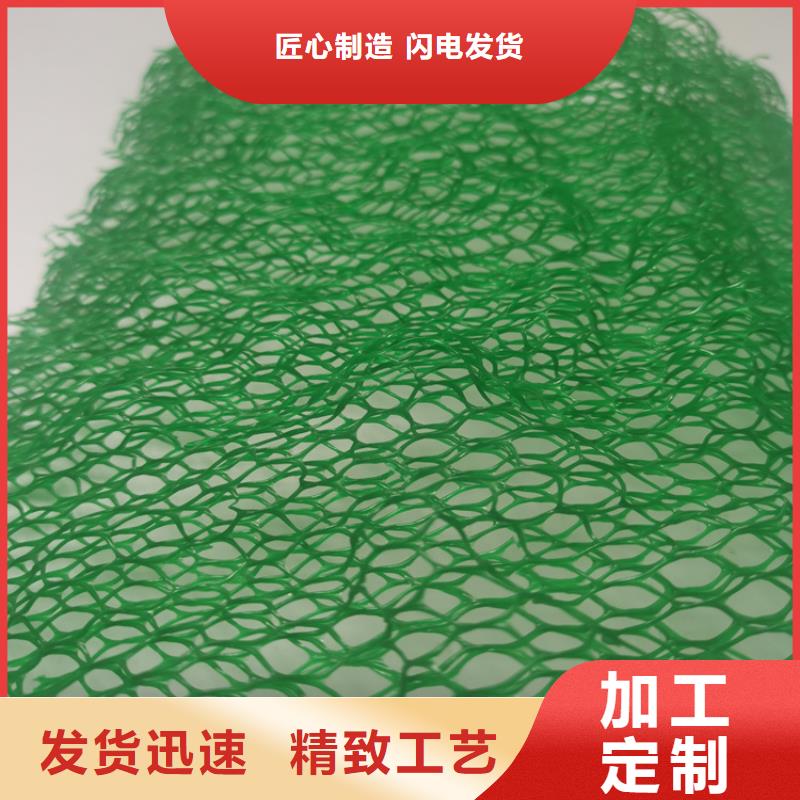 三維植被網_礦用格柵廠家經驗豐富