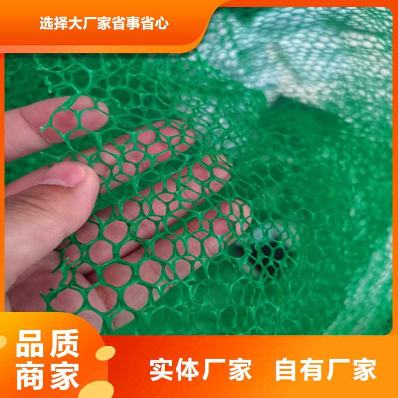 三維植被網_礦用格柵廠家經驗豐富