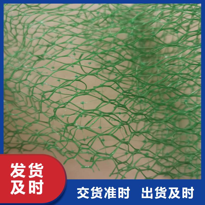 東方市草皮固土三維固土網(wǎng)墊