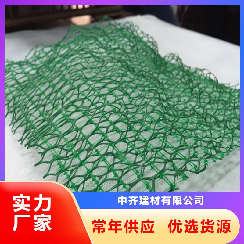 中齐土工格栅【 三维植被网_HDPE土工膜您身边的厂家】sz5e.com