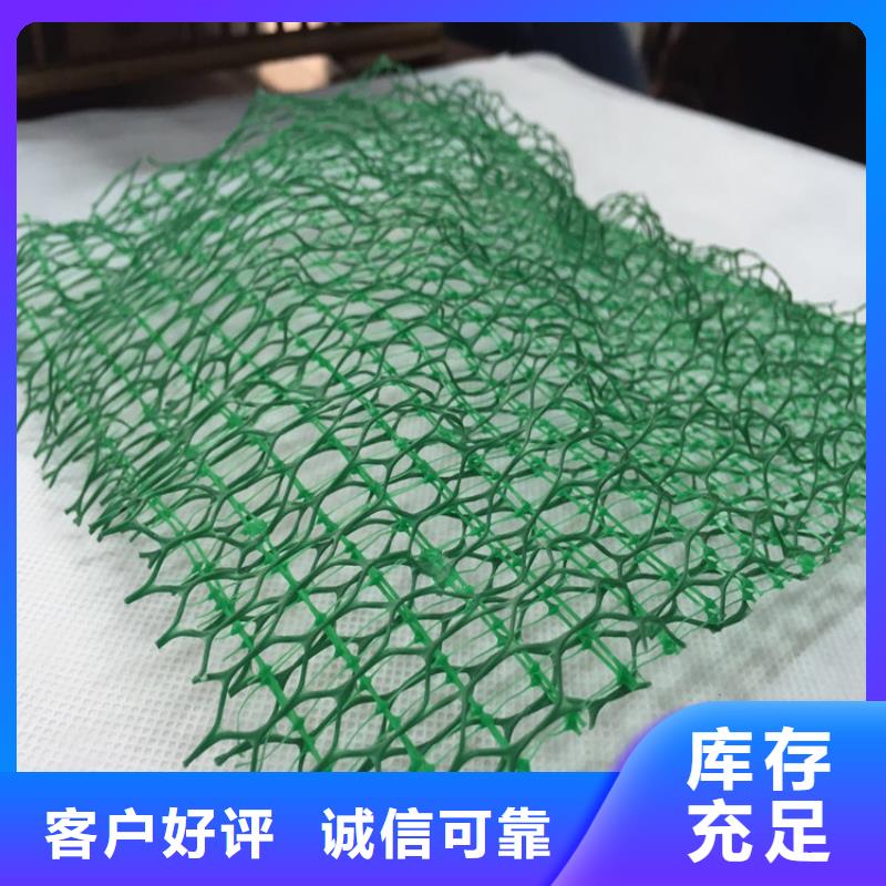 綠化草皮三維土工網墊