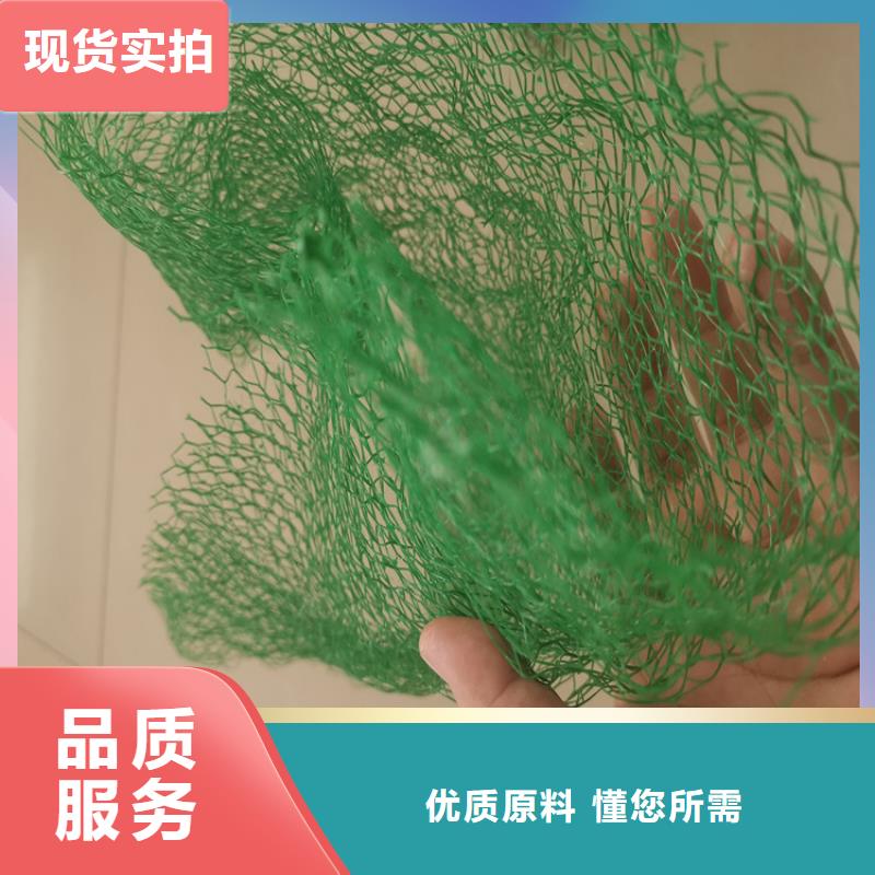 三維植被網_礦用格柵廠家經驗豐富