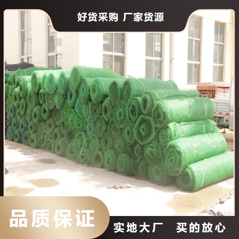 中齐土工格栅【 三维植被网_HDPE土工膜您身边的厂家】sz5e.com