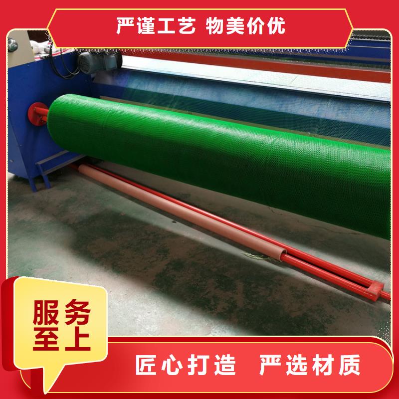 EM4塑料三維土工網(wǎng)墊