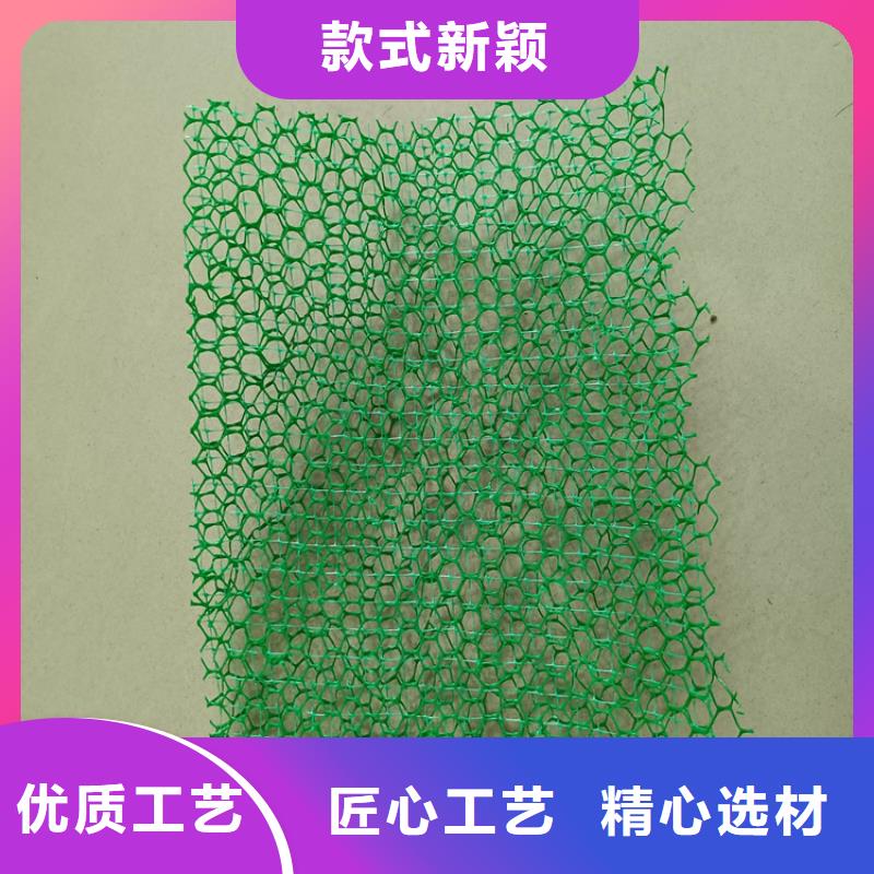 綠化固土三維固土網(wǎng)墊
