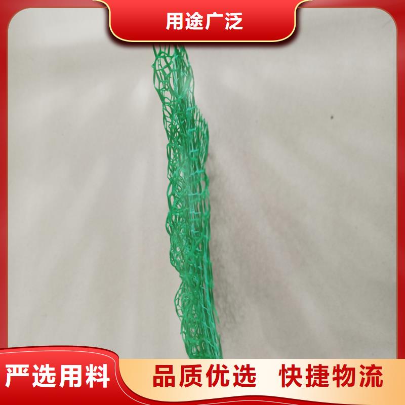塑料環保三維護坡植草網