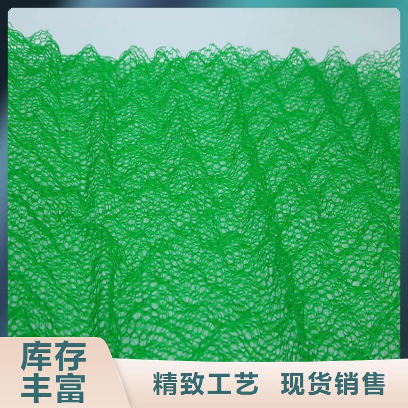 綠化EM5三維護坡植草網