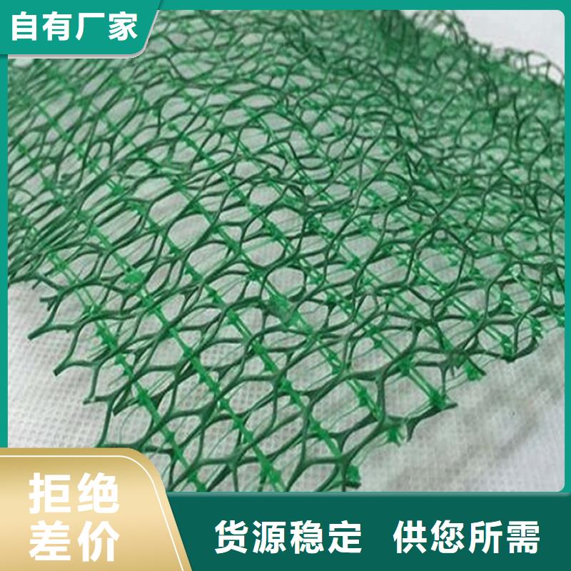 EM5綠化三維土工網(wǎng)墊