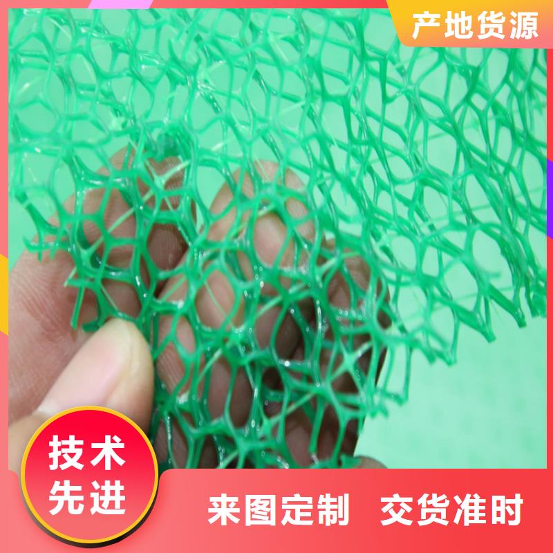 三維植被網_礦用格柵廠家經驗豐富