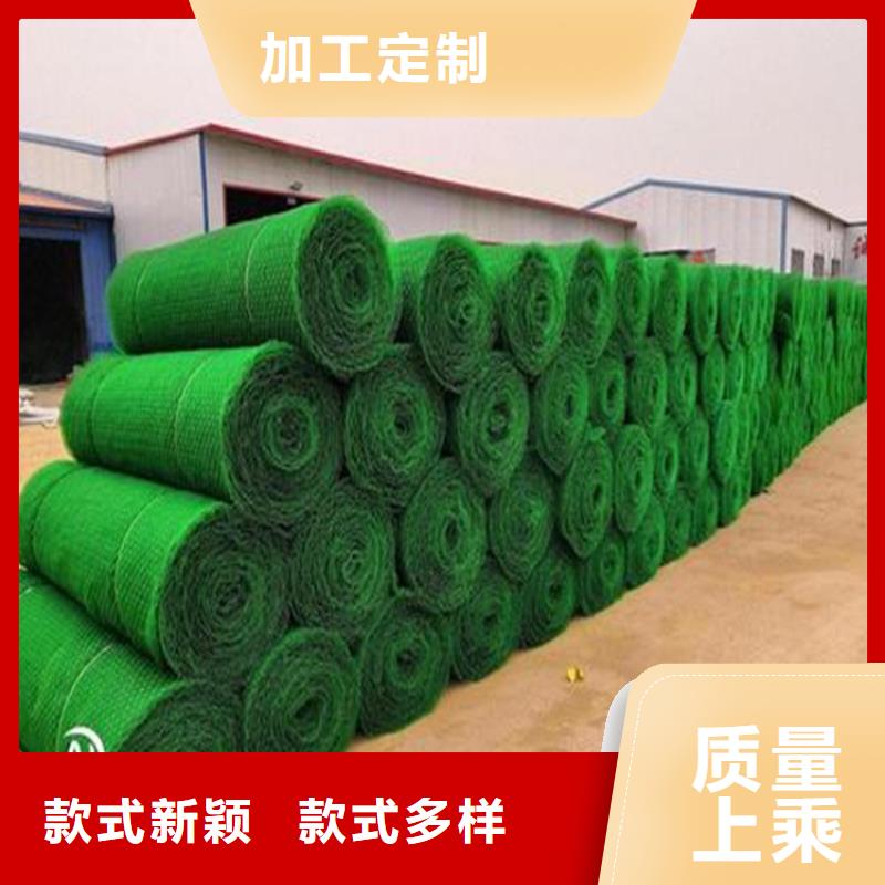三維植被網_礦用格柵廠家經驗豐富