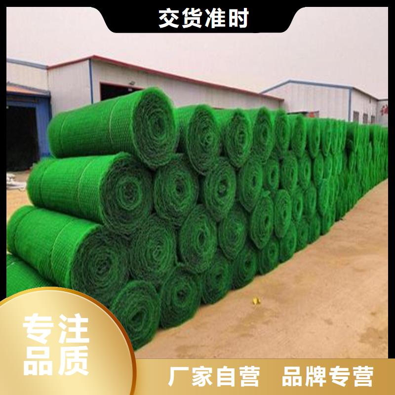 三維植被網(wǎng)-土工膜貼心服務