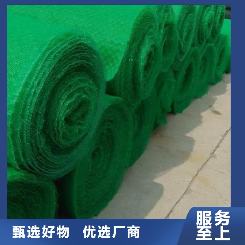 三維植被網_礦用格柵廠家經驗豐富