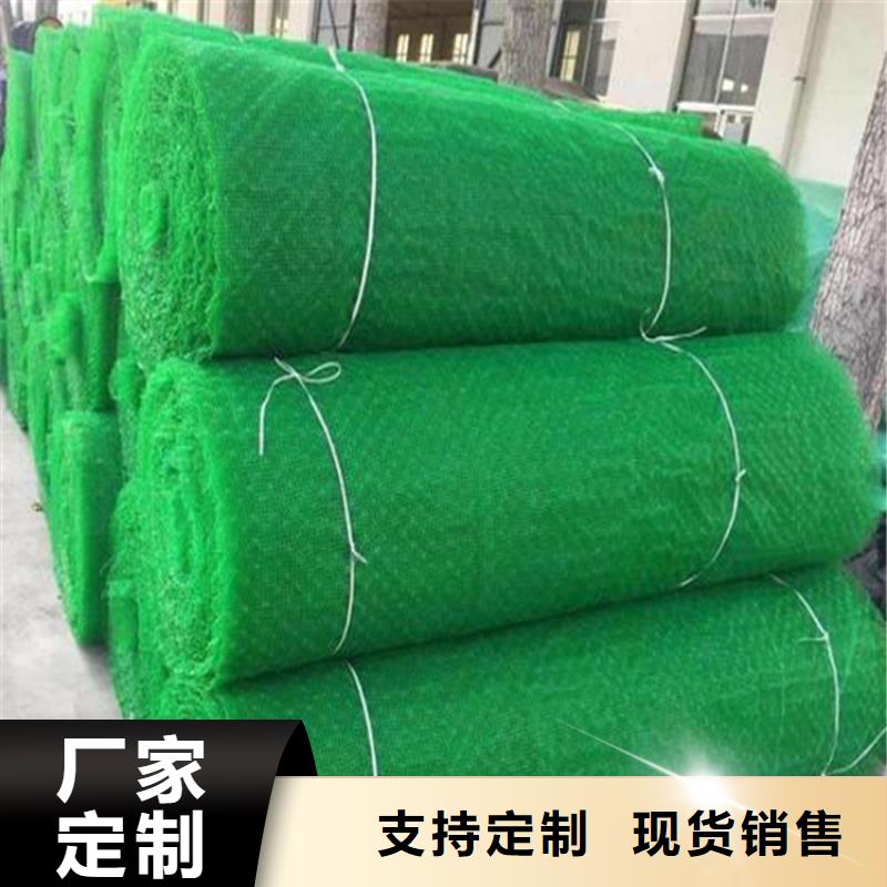 中齐土工格栅【 三维植被网_HDPE土工膜您身边的厂家】sz5e.com