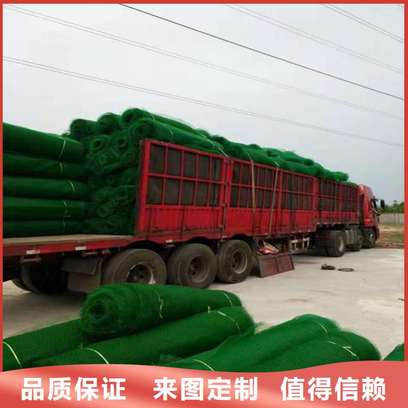 三維植被網(wǎng)_礦用格柵廠家經(jīng)驗豐富