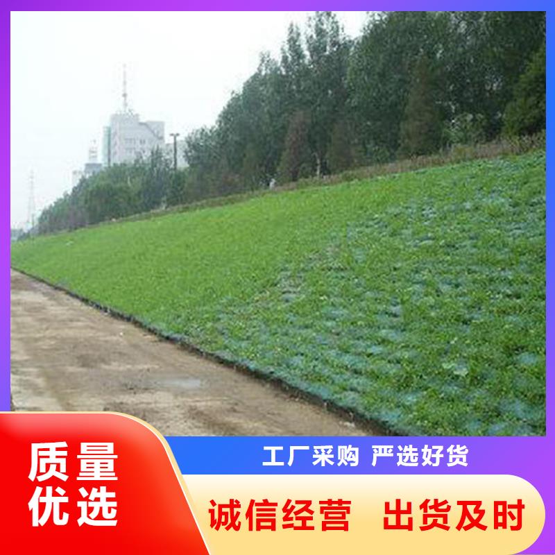 土工格栅视频-戚墅堰|新北|淮安|南通|苏州|南京|泰州土工格栅重信誉厂家-中齐建材(常州市分公司)