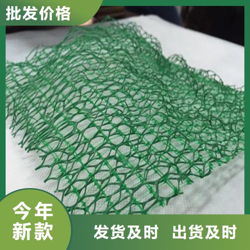 EM4塑料三維土工網(wǎng)墊