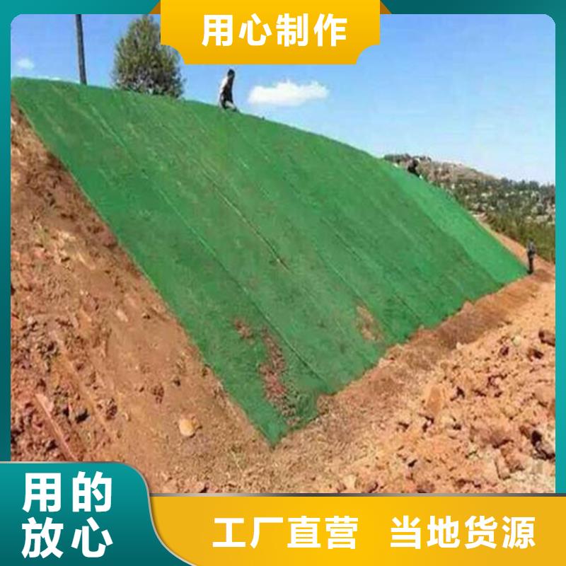 三維植被網,膨潤土防水毯真正讓利給買家