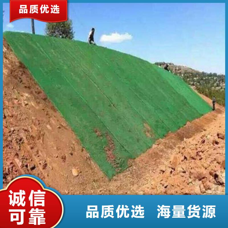 三維植被網(wǎng)-土工膜貼心服務