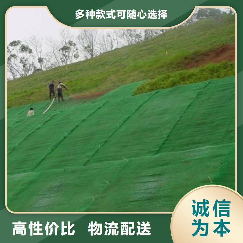 三維植被網防裂貼高品質誠信廠家