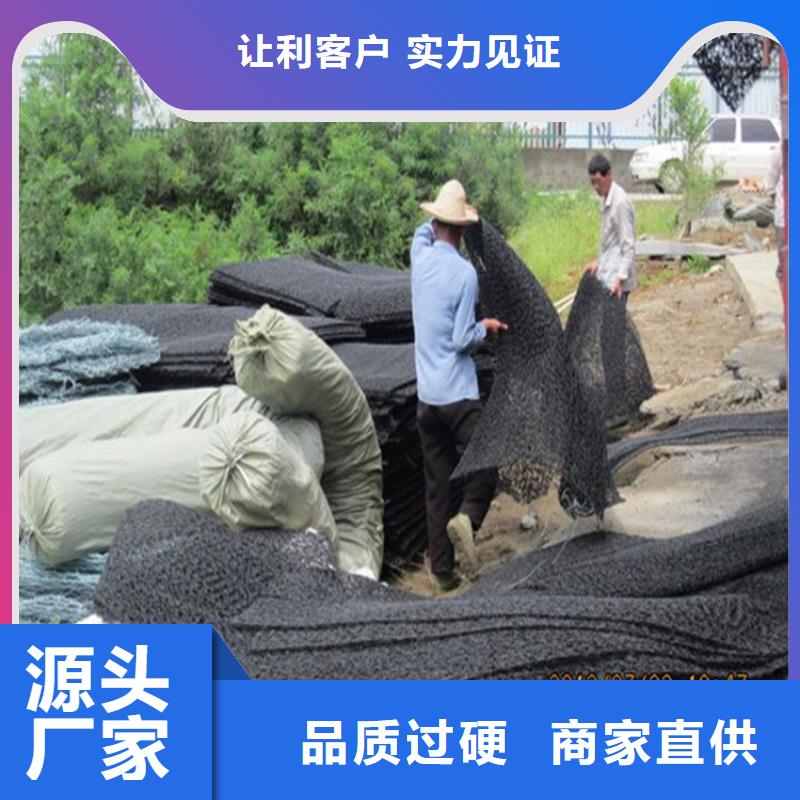 土工格栅视频-土工格栅|辽宁省阜新市|细河|彰武|鞍山|辽阳|丹东|营口