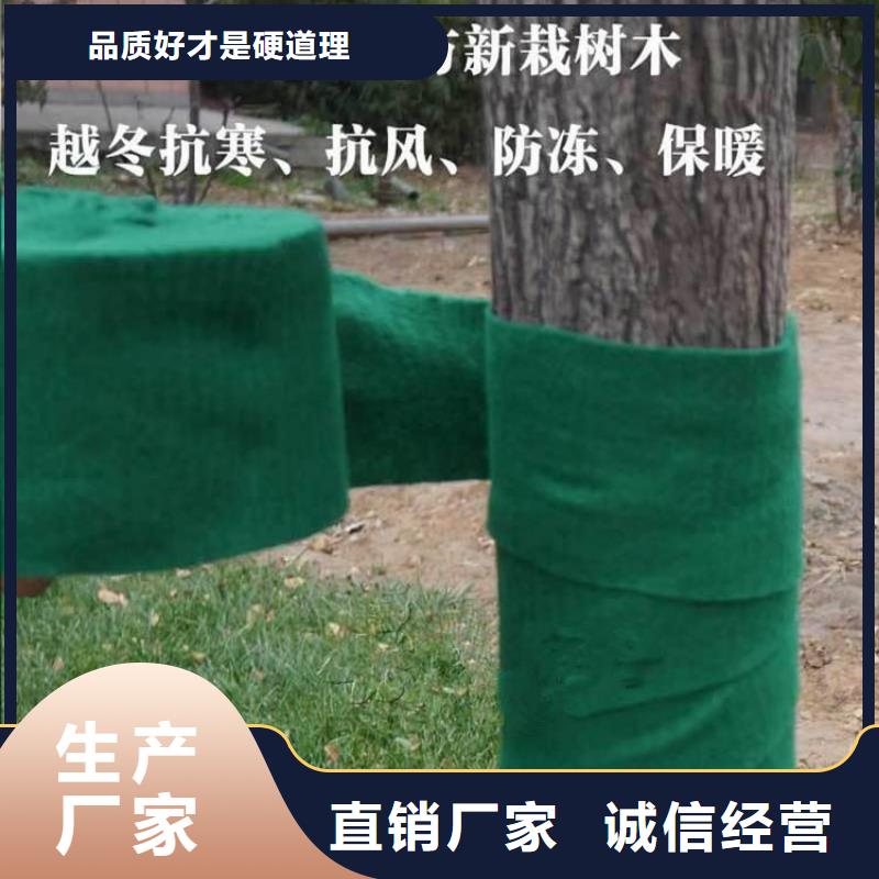 樹木包樹布裹樹氈
