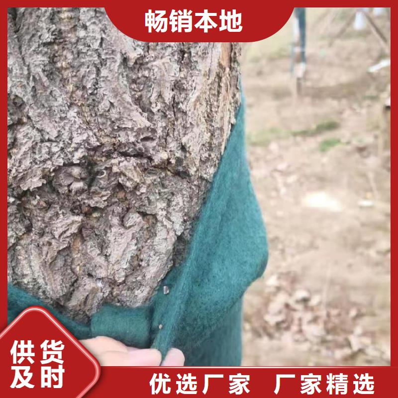 土工格栅视频-土工格栅(中齐)覆盖地域河南省商丘市虞城|永城|濮阳|开封|洛阳|驻马店|郑州|南阳
