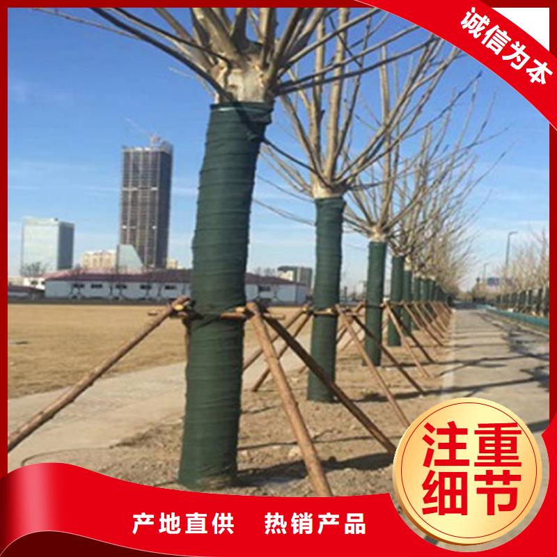 中齐土工格栅【裹树布】通风降噪丝网您想要的我们都有