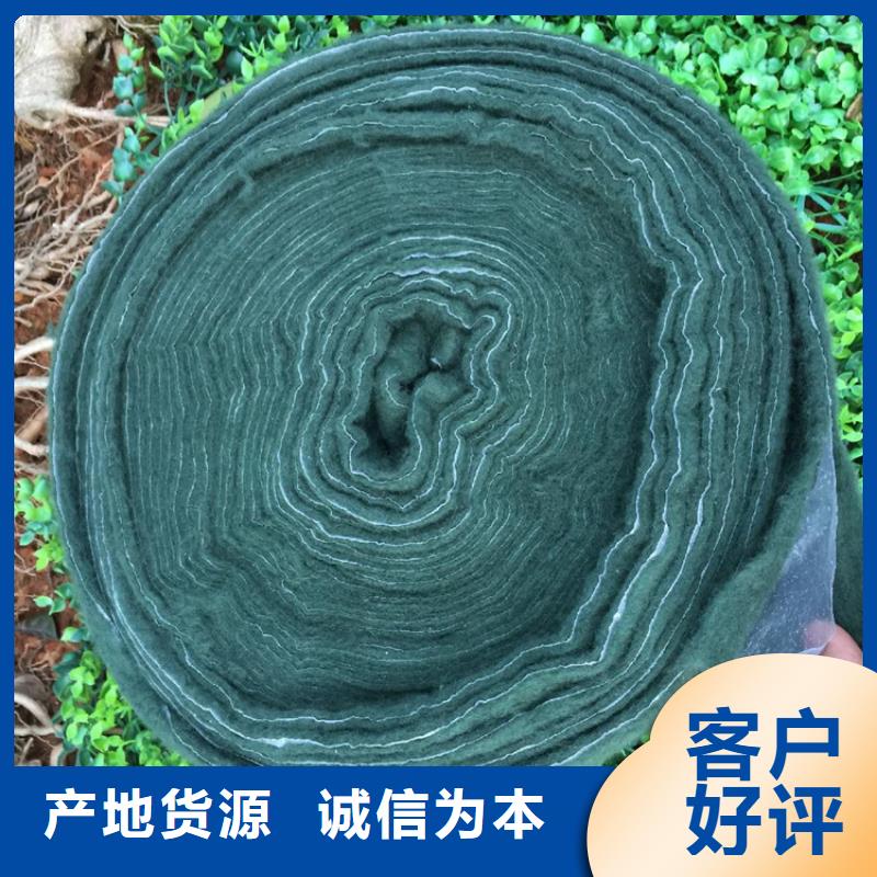 裹樹布_膨潤土防水毯實力商家供貨穩定