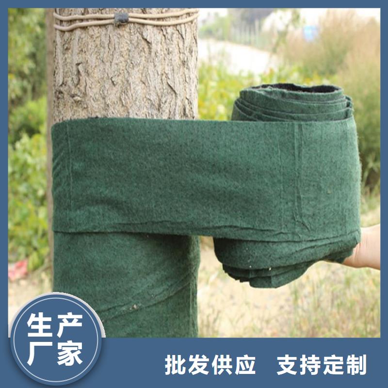 裹樹布-生態帶精選貨源