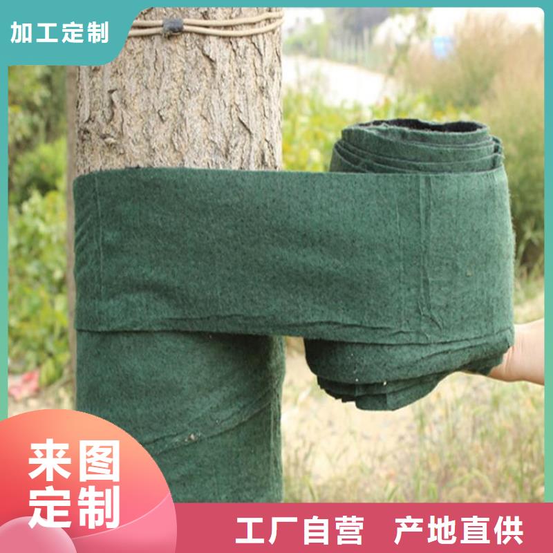 纏樹氈大樹裹樹布