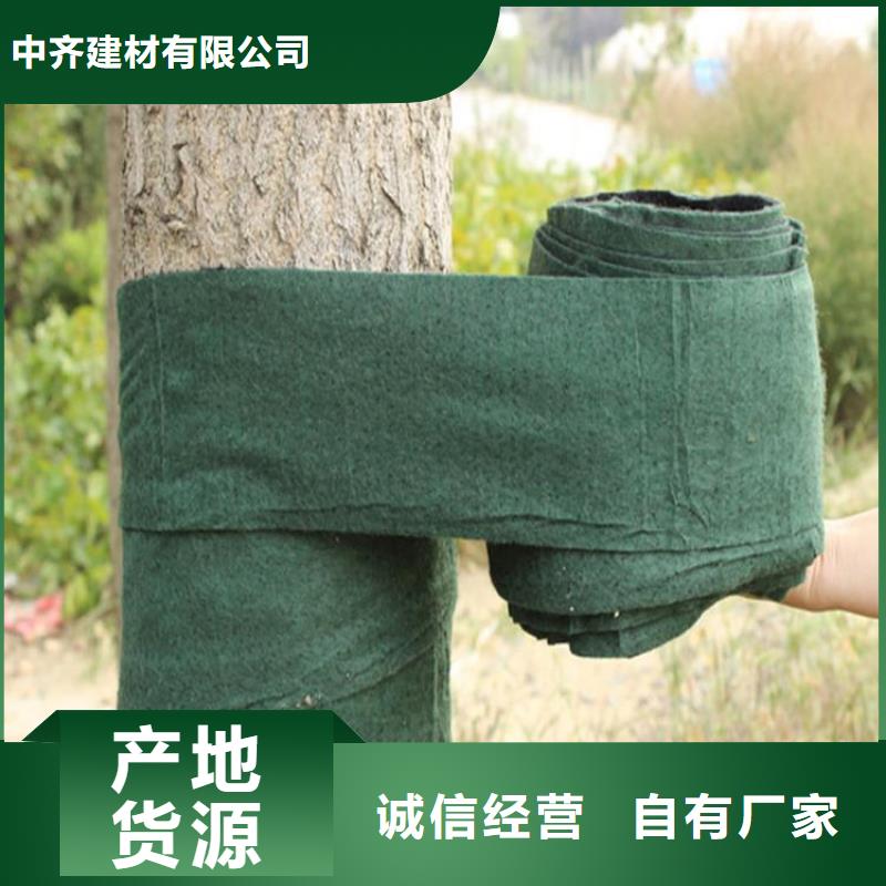大樹裹樹布包樹帶