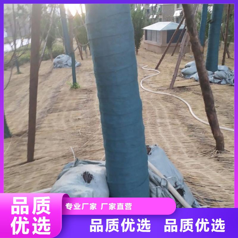 樹木包樹布裹樹氈