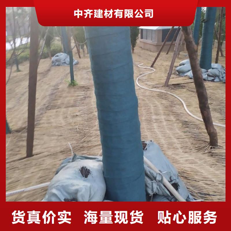 裹樹布裹樹布