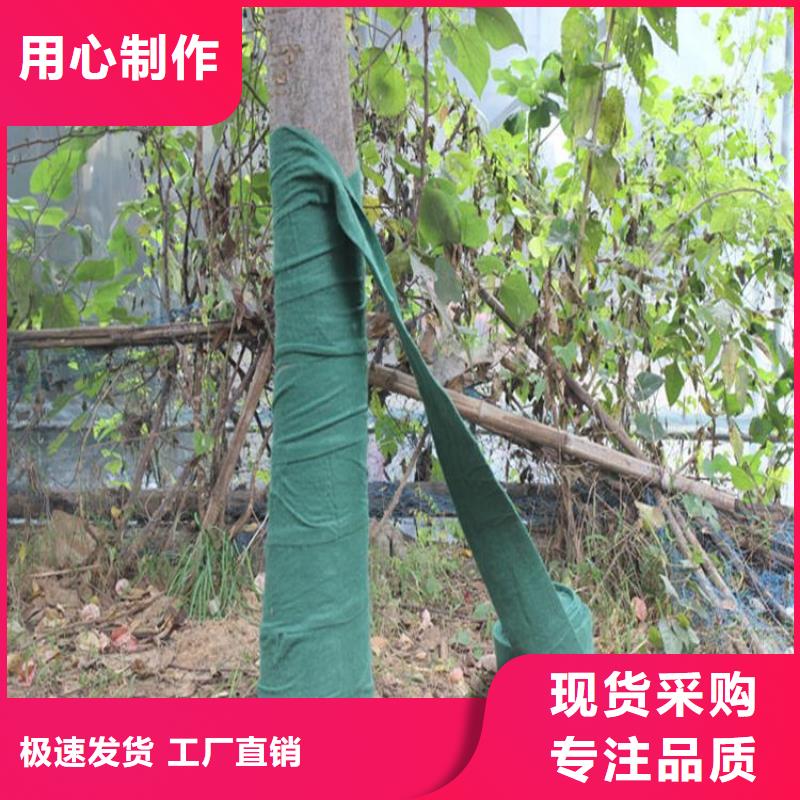 裹樹布-生態帶精選貨源