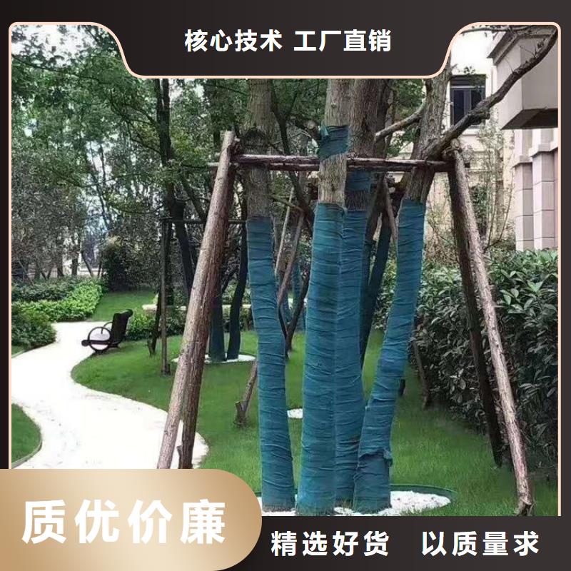 裹樹布_土工膜擁有多家成功案例