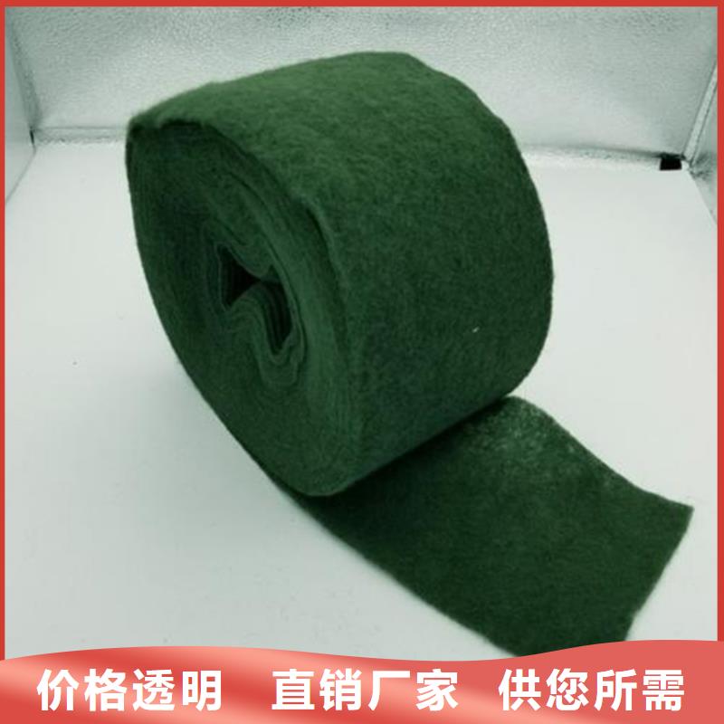 裹樹布生態(tài)帶支持定制貼心售后