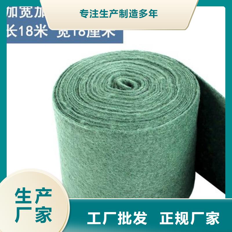包樹布纏樹保溫帶