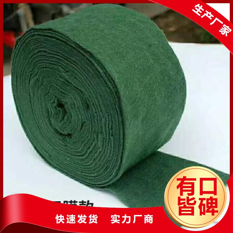 裹樹布-生態帶精選貨源