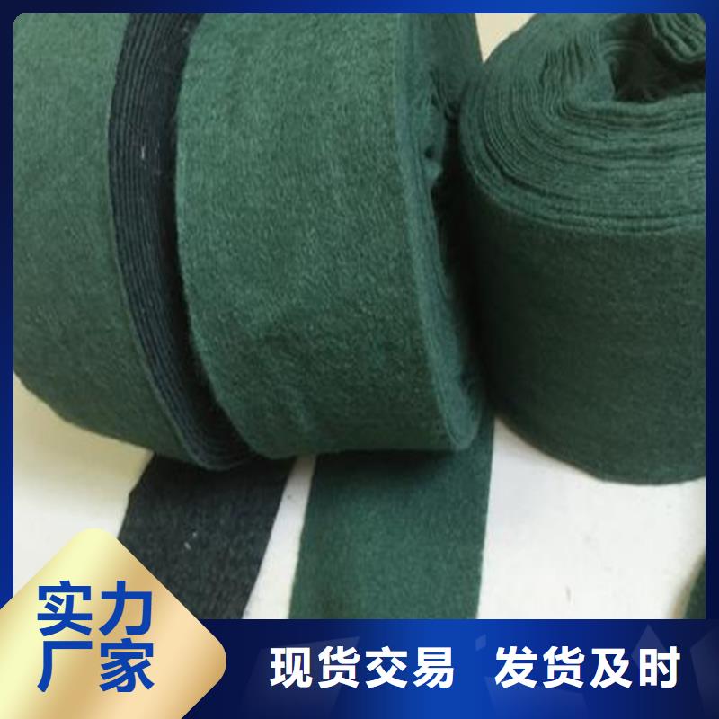 裹樹布-生態帶精選貨源