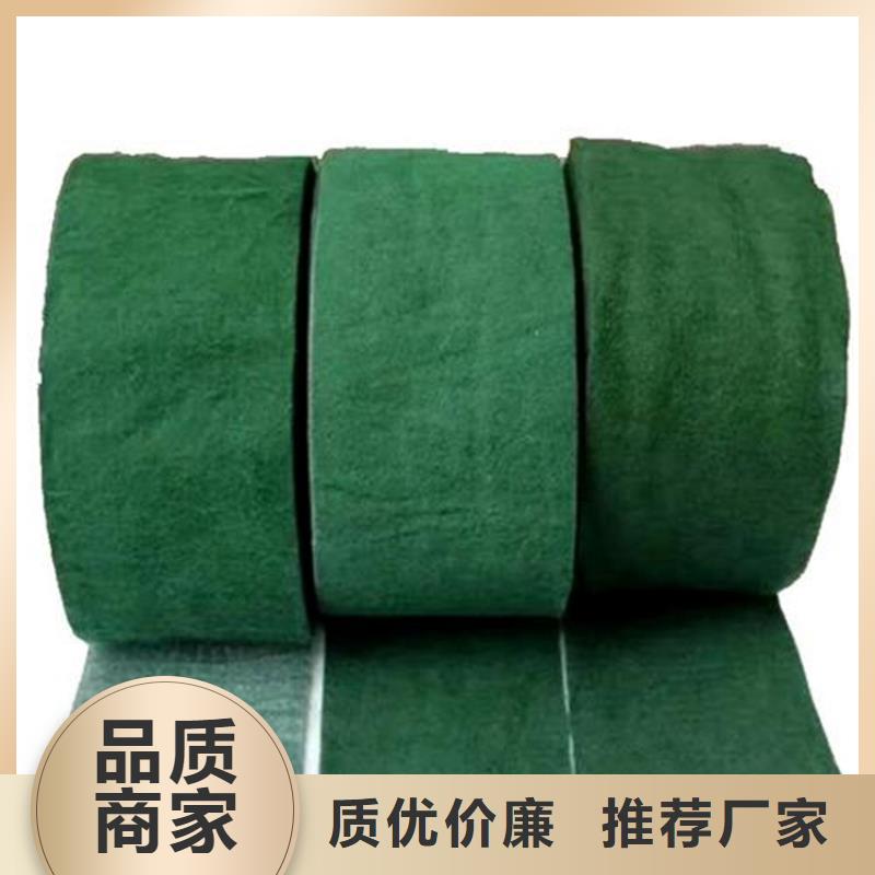 土工格栅视频-土工格栅-广西省贵港市该地供应商-平南|桂平|河池|柳州|梧州|百色