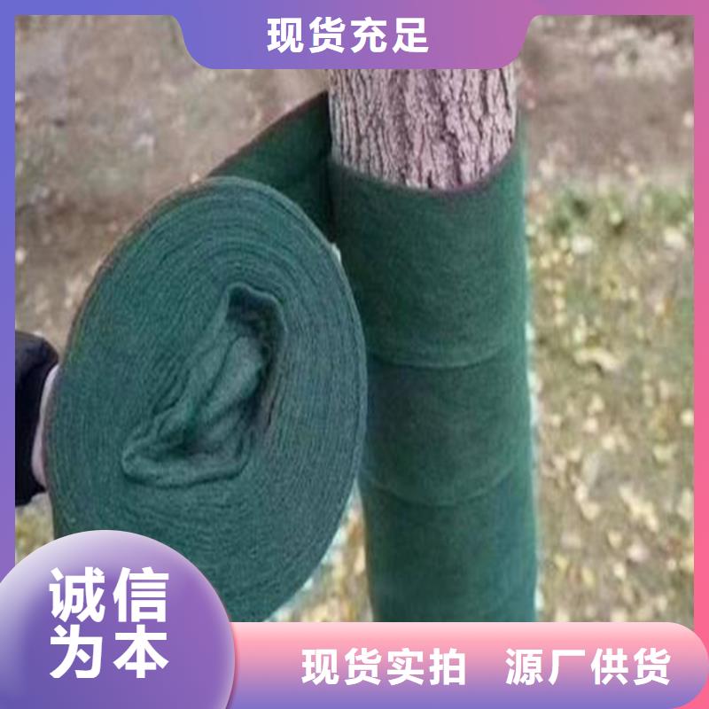 裹樹布-生態帶精選貨源