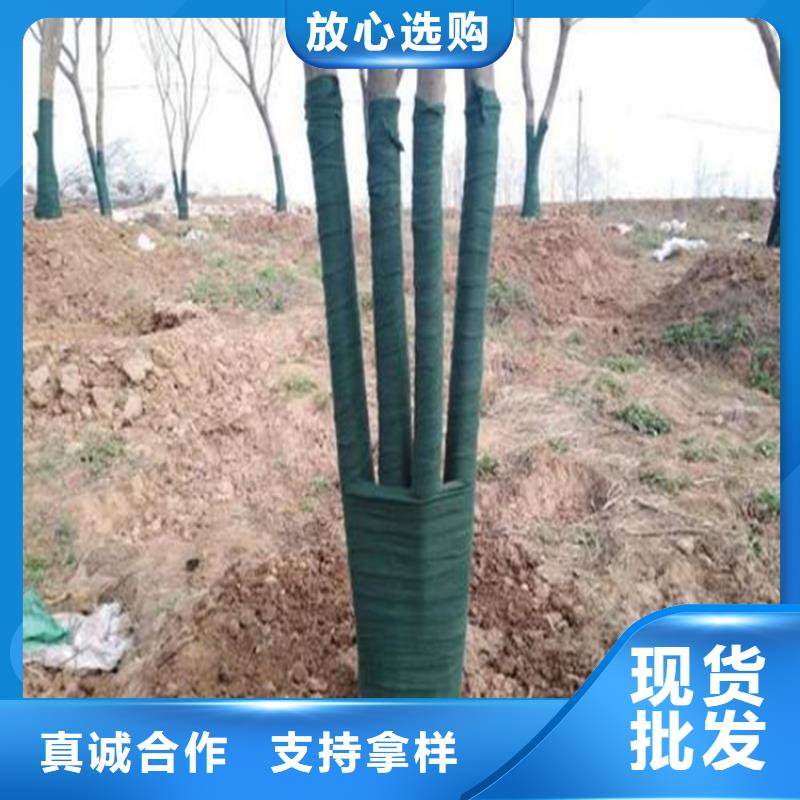 裹树布_土工膜拥有多家成功案例