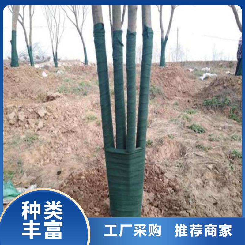 裹樹布_膨潤土防水毯實力商家供貨穩定